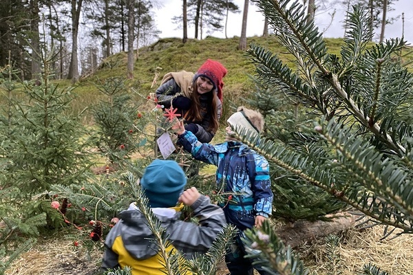 Eventyrlig julekos i trollskogen