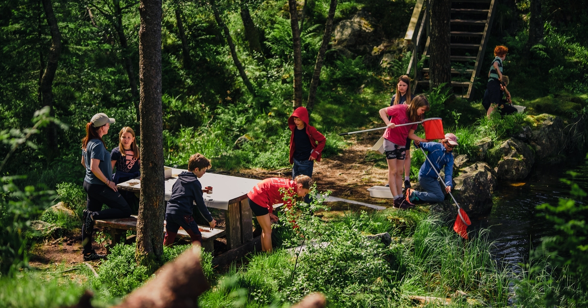 Naturskole | Sommercamp på Fløyen