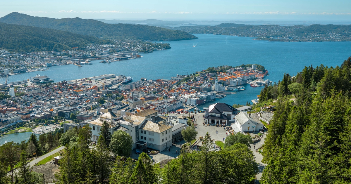Supersommer på Fløyen