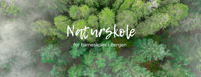 Naturskole