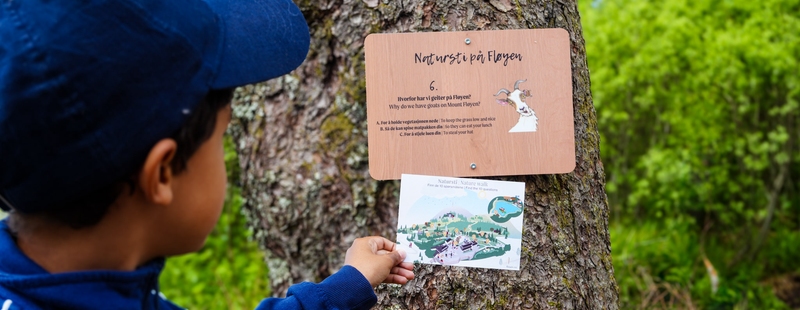 Natursti på Fløyen